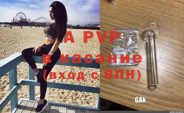 соль ск Арсеньев