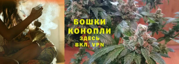 соль ск Арсеньев