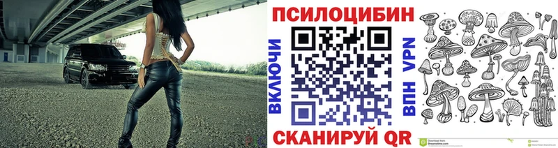 магазин продажи   Саров  Псилоцибиновые грибы ЛСД 